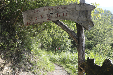 巨木登山口