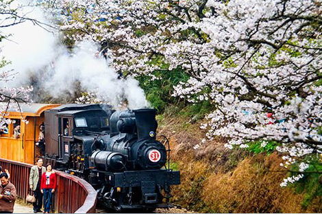 阿里山小火車