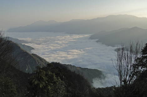 阿里山雲海