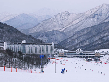 時尚韓國【中情真享戀雪釜山滑雪去】滑雪場、SEALIFE水族館、採草莓、海岸列車五天(獨家入住釜山唯一滑雪場1晚)《不走人蔘保肝》【真航空、台中直飛】
