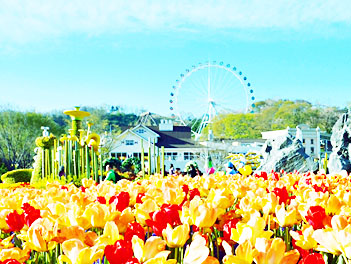 【花現韓國】愛寶樂園、浪漫盧登西亞歐洲村、水原華城、塗鴉秀、DIY泡菜+韓式點心+韓服體驗五天（升等１晚五星酒店）【德威航空、台中出發】