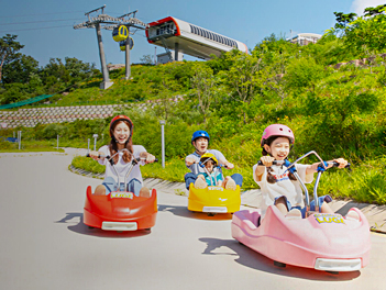 【享玩韓國住五星】江華LUGE渠道滑車、塗鴉秀、星空圖書館、道地韓國美食孔陵一隻雞+獨家海鮮教父～美式海鮮干鍋五天《不走人蔘、保肝》（升等２晚國際五星酒店）【德威航空、台中出發】