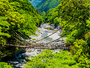 【深度四國】龍馬傳奇５日～遨遊小豆島絕色觀景纜車、道後古溫泉、大步危+葛藤橋、賞櫻勝地+浪漫秘境紫藤花（星宇航空．台中直飛高松）