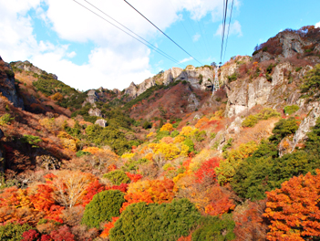 【元氣日本】楓落四國五日遊~高松小豆島・別子礦山小火車・道後溫泉【星宇航空.台中直飛高松】