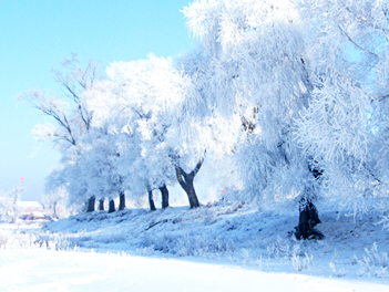 【探索中國自由行】雪落東北、童話雪鄉、長白山、虎林園、冰雪大世界八日(無購物無自費)【國泰/南航、桃園出發】