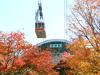 【精緻日本旅遊】九州熊本紅葉楓旅、纜車遊船、三大蟹溫泉精選五日（紅葉八幡宮、大濠公園、柳川遊船、湯布院、九重夢大吊橋、熊本城）（早去午回）【星宇航空、桃園/熊本】