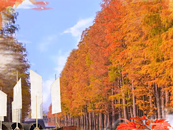 【遊遍中國自由行】《秋冬限定》「夢裡水鄉」水上紅杉林、張家界天門山、湖南湖北、鳳凰古城八日《加贈魅力湘西秀、五星溫德姆下午茶》(無購物、無自費)【南方航空、桃園出發】