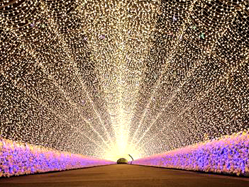【元氣日本】璀璨金光五日遊(名花之里夢幻點燈、金箔體驗、白川合掌村、金澤兼六園、郡上八幡古街)【星宇航空、台中/名古屋】