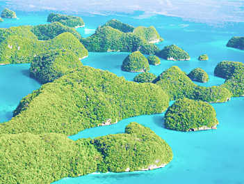 【湯姆旅遊】帛琉海陸玩透透、星光夜釣頂級四日 ( 2人成行 ) 機票自理