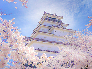 【東北歐嗨喲】群櫻飛舞～東北會津鐵道遊船溫泉五日《超值版》（四季之里綠水苑、伊佐須美神社、大內宿、五色沼、松島遊船）【福島包機】
