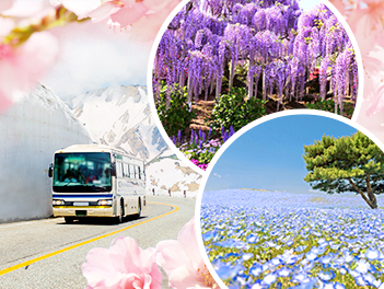 【精緻日本旅遊】2027東京立山黑部雪牆、粉蝶紫藤芝櫻、溫泉美食六日(白川鄉合掌村、大石公園、輕井澤、上高地、河口湖)(午去午回)【長榮航空、桃園/東京】
