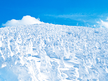 【精緻日本旅遊】東北藏王樹冰、銀山溫泉、雪樂園賞梅五日(豬苗代湖、水戶偕樂園、阿武隈洞、保住兩晚溫泉飯店)【酷航空,午去晚回,桃園/成田】