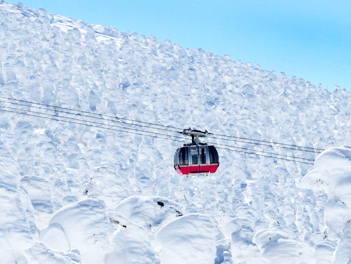 【精緻日本旅遊】東北天空雪怪之路、藏王樹冰、世界最大雪中藏王狐狸村、溫泉六日(保住三晚以上溫泉飯店)【星宇航空,桃園/成田】