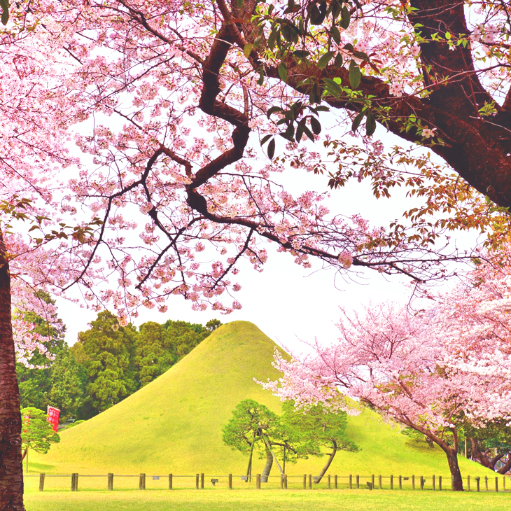 熊本縣 / 水前寺成趣園