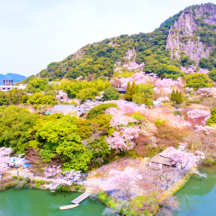 佐賀縣 / 御船山樂園