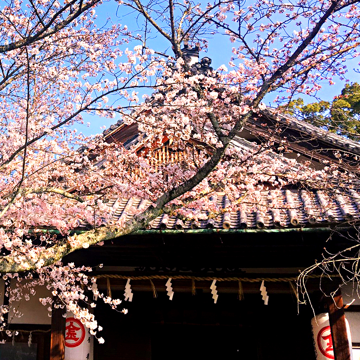 香川縣 / 金刀比羅宮