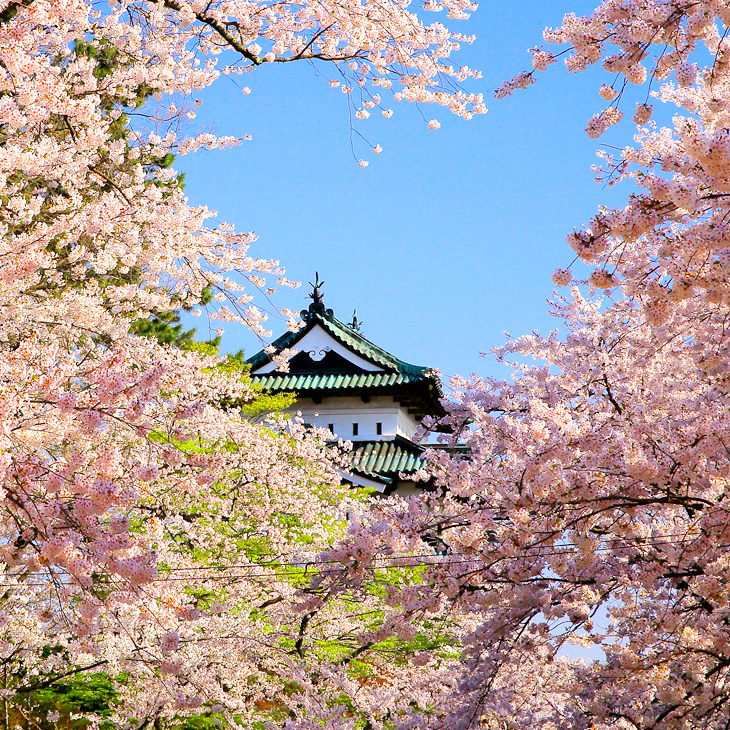 青森縣 / 弘前公園