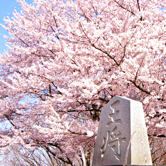 山形縣 / 天童公園