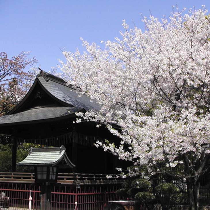 上野恩賜公園