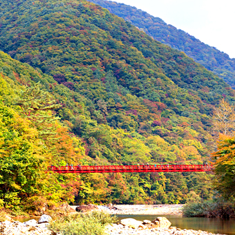 東北 / 抱返溪谷