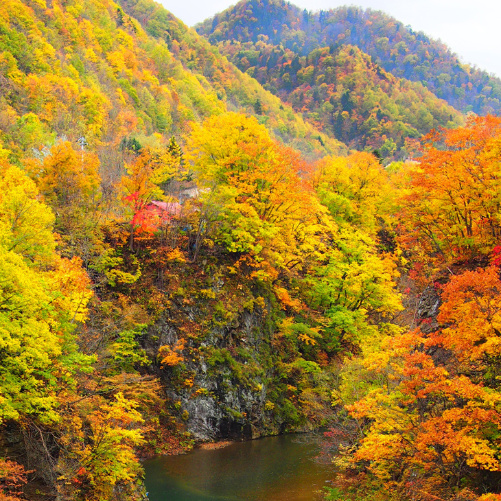 北海道 / 定山溪