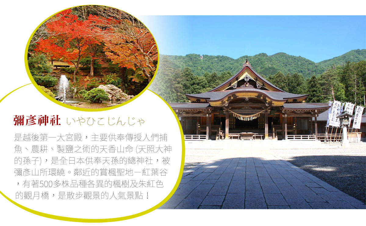 日本旅情 新潟傳奇 越後新潟 賞花限定 新發田市櫻花健走 夕陽百選四日 日本旅情 新潟傳奇 越後新潟 賞花限定 新發田市櫻花健走 夕陽百選四日