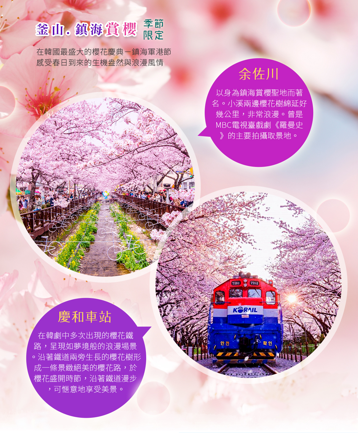 可依清釜雙城鎮海賞櫻去】櫻花饗宴鎮海軍港節、東大新洞櫻花隧道、清風湖畔櫻花節、天空膠囊列車五天（升等２晚五花酒店）《不走人蔘、保肝店》【可依航空、桃園直飛】  – 中天旅行社