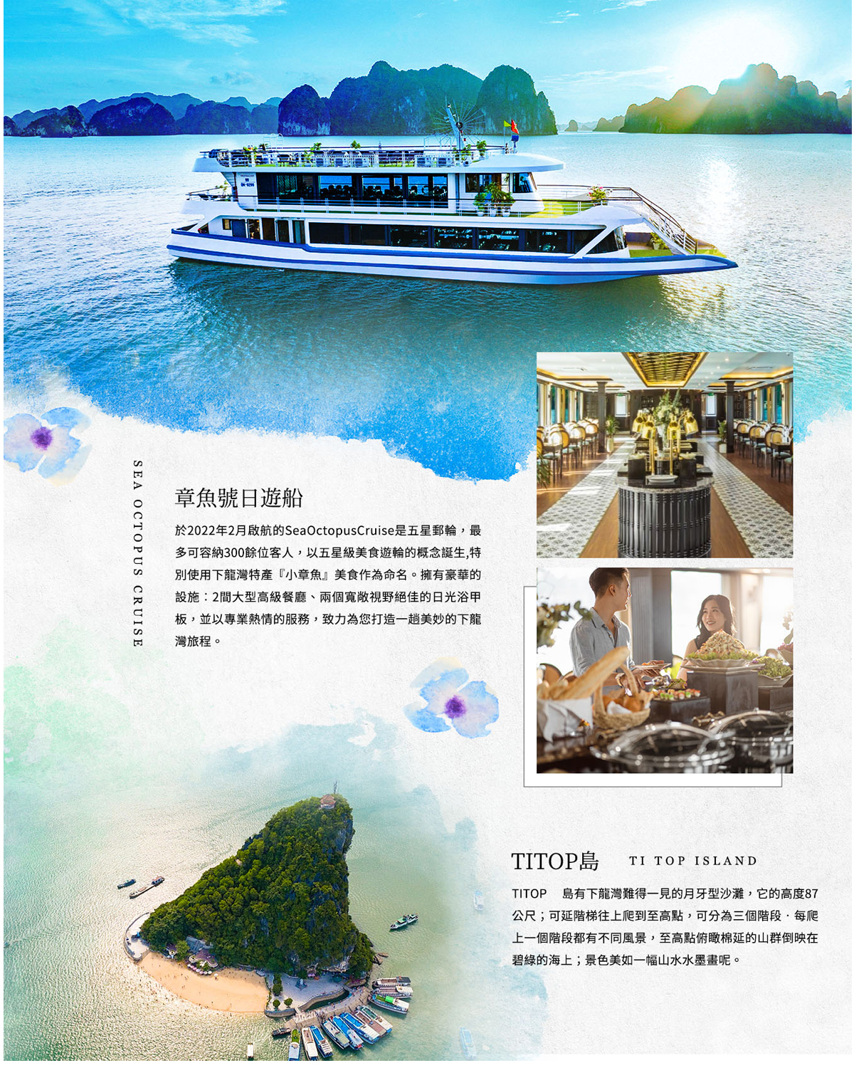 星心假期】北越慢活時光五日～下龍灣五星海章魚郵輪、河內鐵道咖啡街、河內新世界、三十六古街漫遊（星宇航空、桃園直飛）無購物